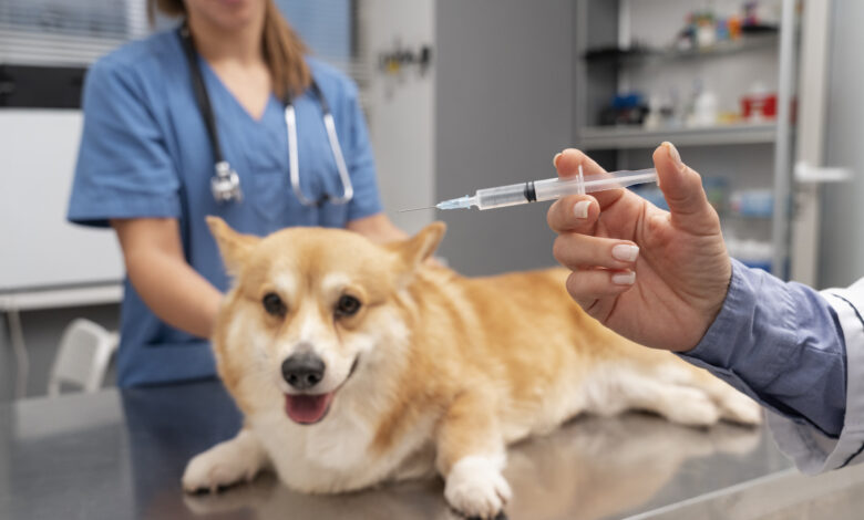pet