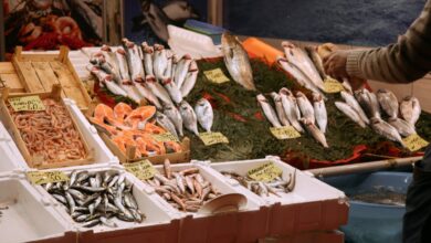 Dicas para conservar melhor carnes, peixes e frutos do mar