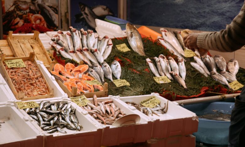 Dicas para conservar melhor carnes, peixes e frutos do mar