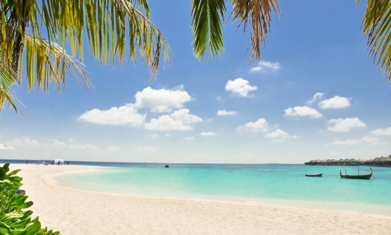 O que fazer no Caribe? atrações e experiências imperdíveis